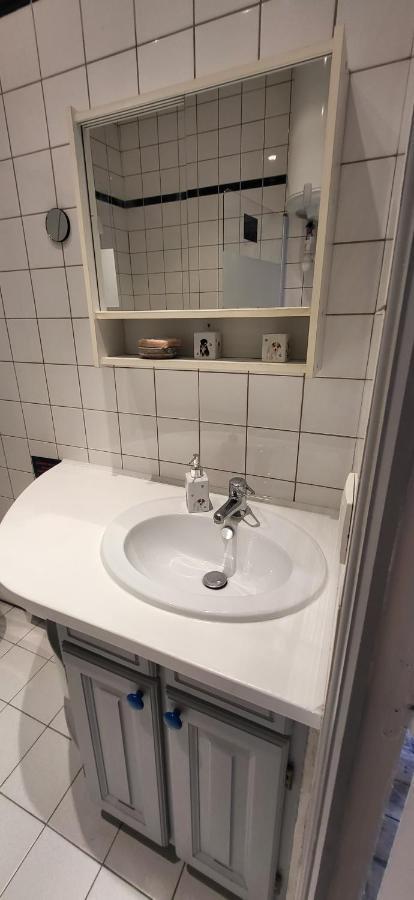 Apartament Le Saint Frobert - Hyper Centre - Bouchon Troyes Zewnętrze zdjęcie